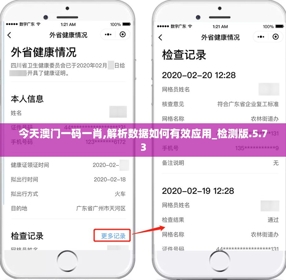 今天澳门一码一肖,解析数据如何有效应用_检测版.5.73