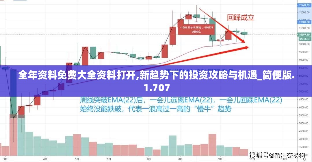 全年资料免费大全资料打开,新趋势下的投资攻略与机遇_简便版.1.707