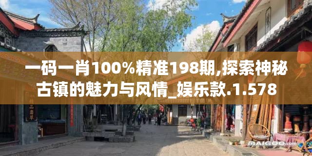 一码一肖100%精准198期,探索神秘古镇的魅力与风情_娱乐款.1.578