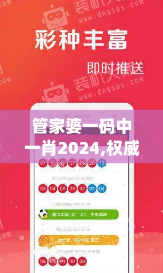 管家婆一码中一肖2024,权威数据解释落实_C版.6.695