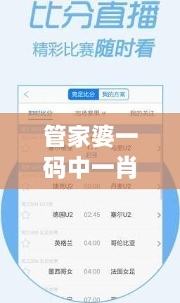 管家婆一码中一肖2024,权威数据解释落实_C版.6.695