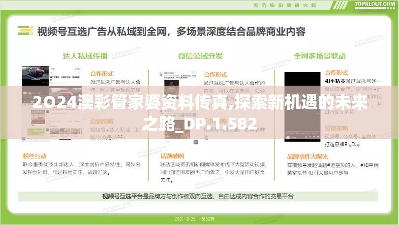 2O24澳彩管家婆资料传真,探索新机遇的未来之路_DP.1.582