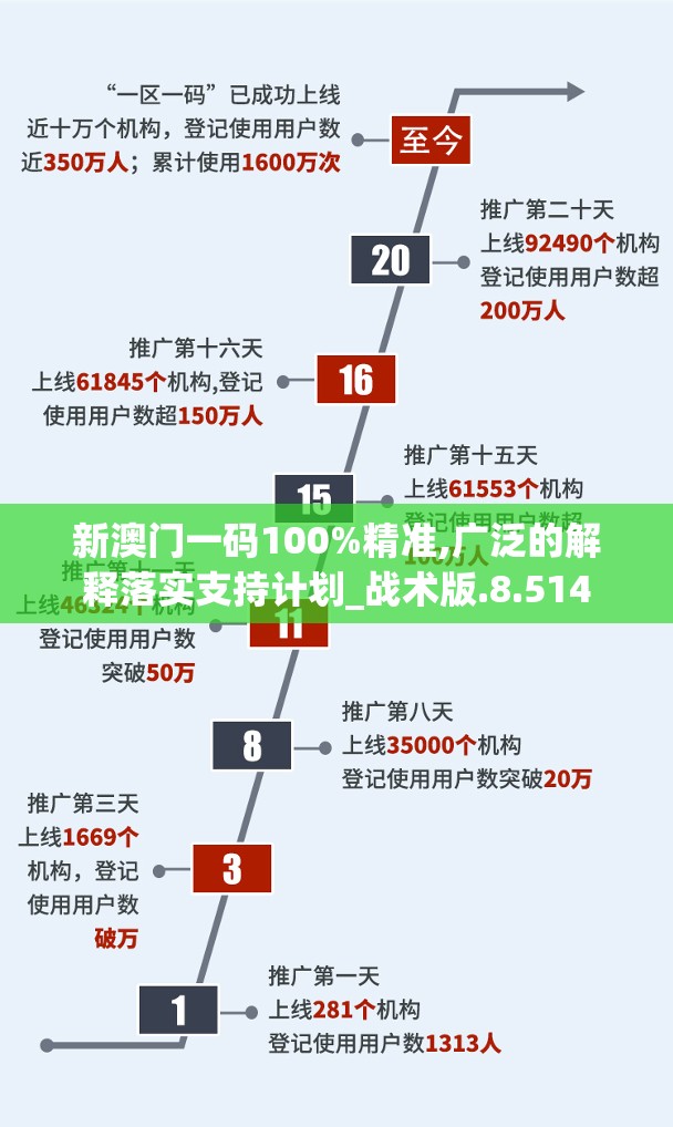 新澳门一码100%精准,广泛的解释落实支持计划_战术版.8.514
