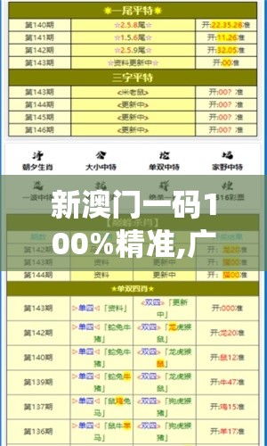 新澳门一码100%精准,广泛的解释落实支持计划_战术版.8.514