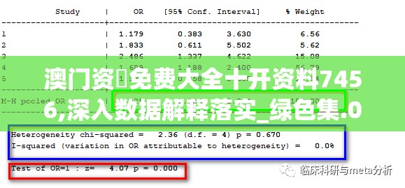 澳门资枓免费大全十开资料7456,深入数据解释落实_绿色集.0.779