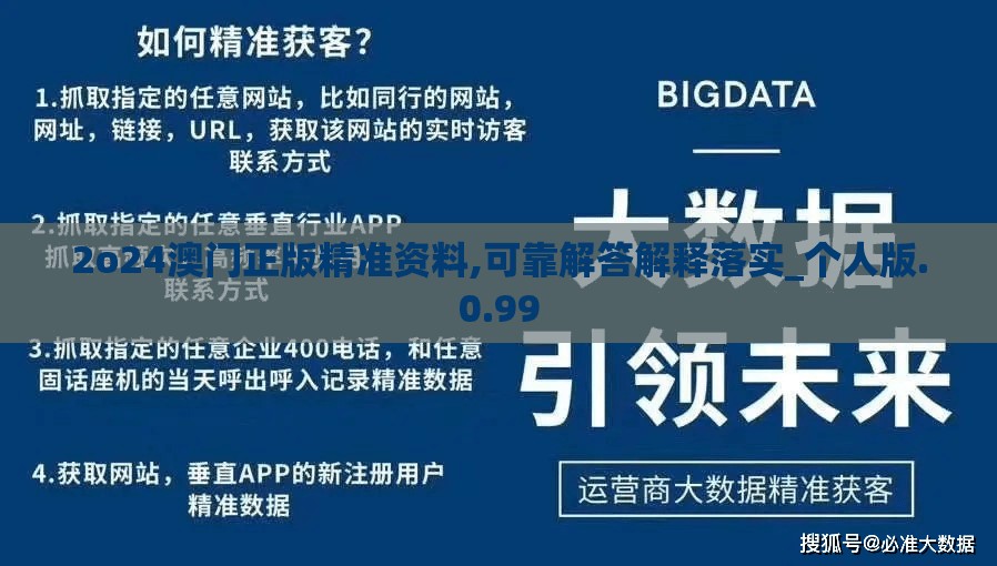 2o24澳门正版精准资料,可靠解答解释落实_个人版.0.99