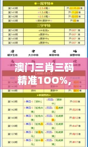 澳门三肖三码精准1OO%,详细解读解释落实_管家婆.0.613
