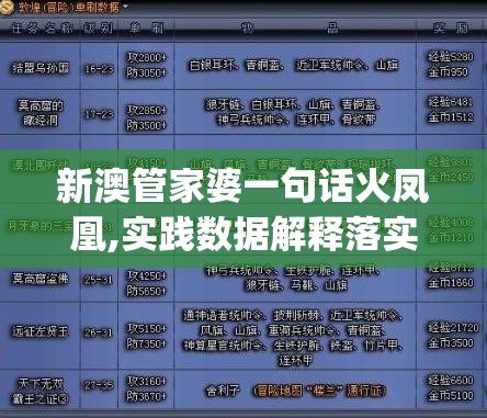 新澳管家婆一句话火凤凰,实践数据解释落实_探险版GM.1.802