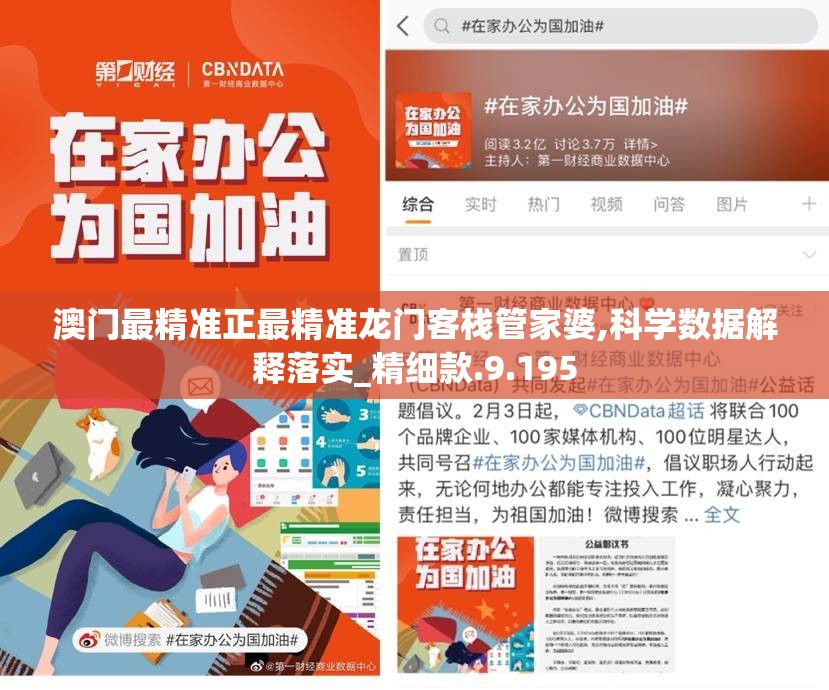 澳门最精准正最精准龙门客栈管家婆,科学数据解释落实_精细款.9.195