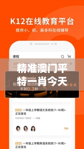 精准澳门平特一肖今天的图片,动态词语解释落实_YE版.3.809