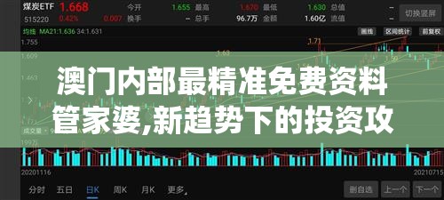 澳门内部最精准免费资料管家婆,新趋势下的投资攻略与机遇_T.8.986