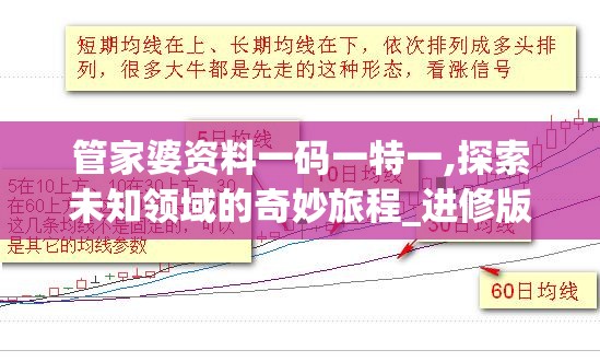 管家婆资料一码一特一,探索未知领域的奇妙旅程_进修版.9.537