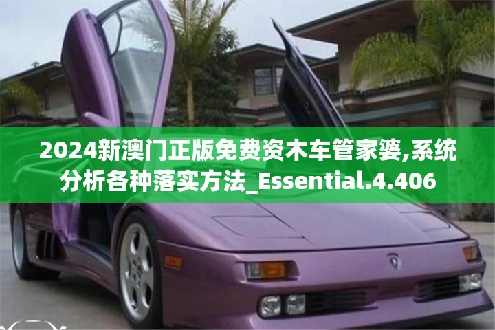 2024新澳门正版免费资木车管家婆,系统分析各种落实方法_Essential.4.406