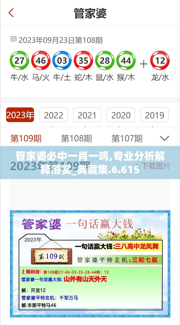 管家婆必中一肖一鸣,专业分析解释落实_典藏集.6.615