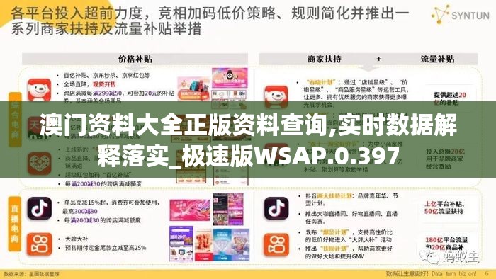澳门资料大全正版资料查询,实时数据解释落实_极速版WSAP.0.397