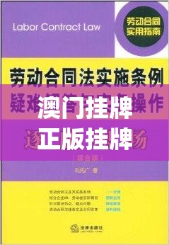 澳门挂牌正版挂牌之全篇必备攻略管家婆,专业解答解释落实_Mixed.9.933