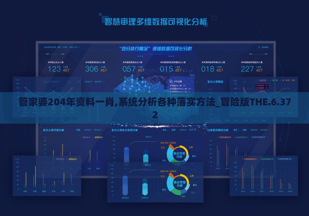 管家婆204年资料一肖,系统分析各种落实方法_冒险版THE.6.372