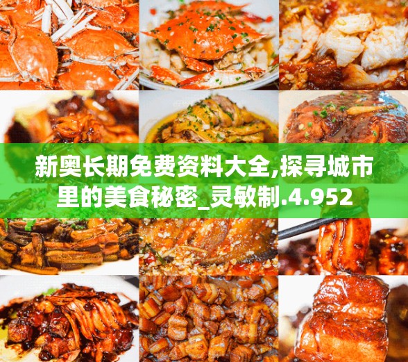新奥长期免费资料大全,探寻城市里的美食秘密_灵敏制.4.952