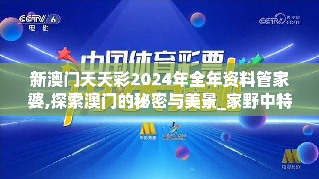 新澳门天天彩2024年全年资料管家婆,探索澳门的秘密与美景_家野中特.7.667