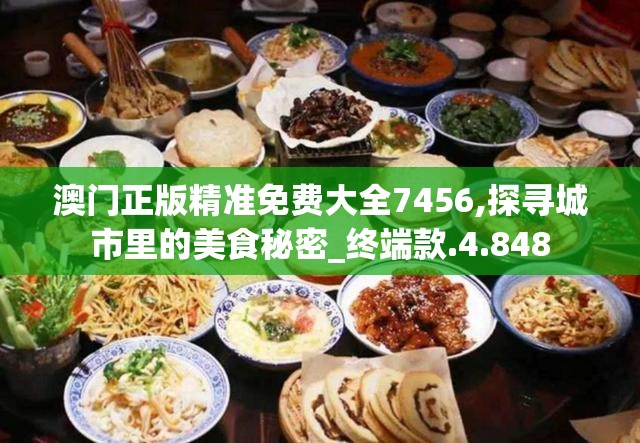 澳门正版精准免费大全7456,探寻城市里的美食秘密_终端款.4.848