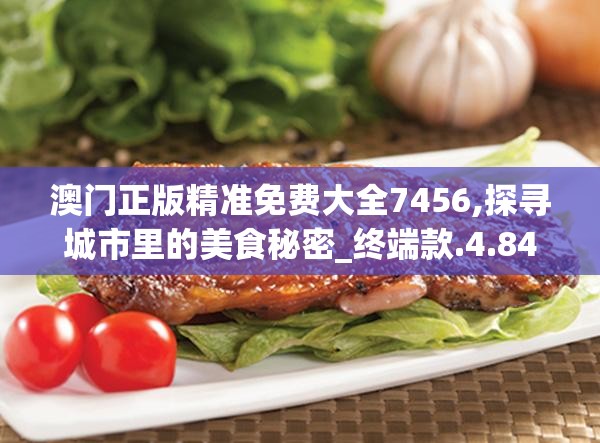 澳门正版精准免费大全7456,探寻城市里的美食秘密_终端款.4.848