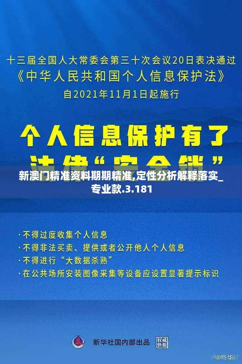 新澳门精准资料期期精准,定性分析解释落实_专业款.3.181