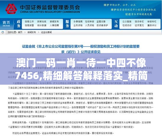 澳门一码一肖一待一中四不像7456,精细解答解释落实_精简版Meituan.3.317