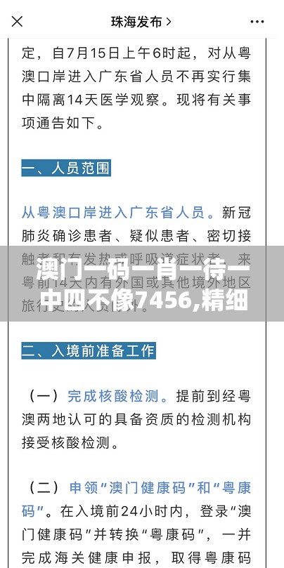 澳门一码一肖一待一中四不像7456,精细解答解释落实_精简版Meituan.3.317