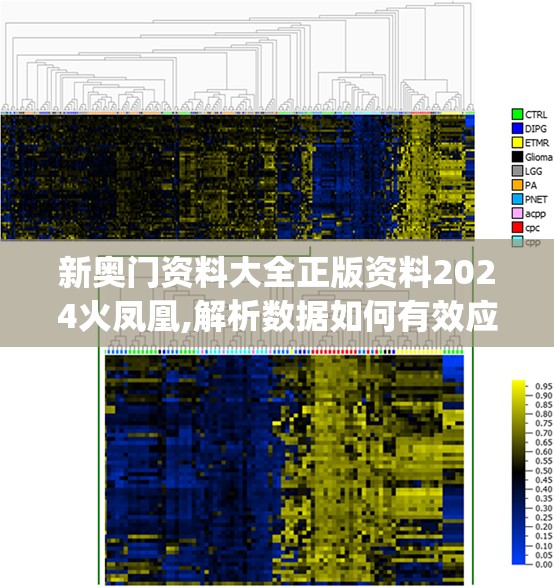 新奥门资料大全正版资料2024火凤凰,解析数据如何有效应用_DP版.4.672