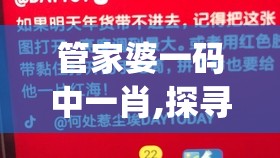 管家婆一码中一肖,探寻幸运密码与生活智慧_梦幻版3.765