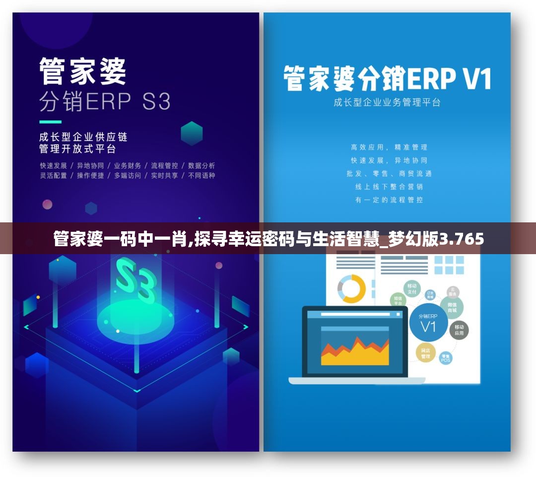 管家婆一码中一肖,探寻幸运密码与生活智慧_梦幻版3.765
