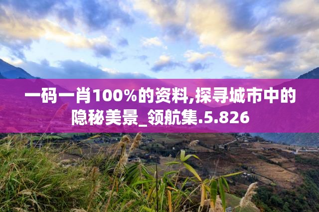 一码一肖100%的资料,探寻城市中的隐秘美景_领航集.5.826
