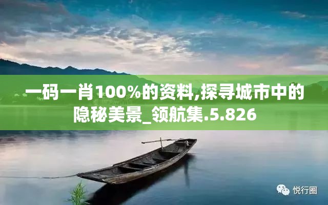 一码一肖100%的资料,探寻城市中的隐秘美景_领航集.5.826