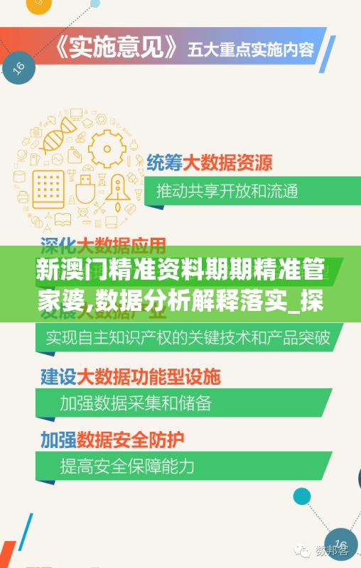 新澳门精准资料期期精准管家婆,数据分析解释落实_探险集.0.370
