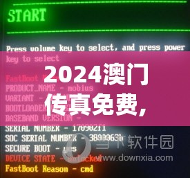 2024澳门传真免费,准确资料解释落实_修订集.5.555