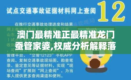澳门最精准正最精准龙门蚕管家婆,权威分析解释落实_简易集.4.490
