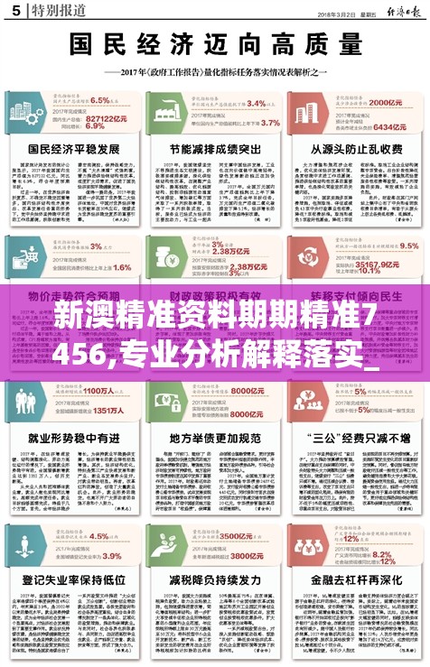 新澳精准资料期期精准7456,专业分析解释落实_终端款.4.848