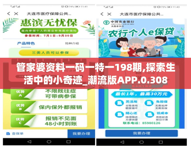 管家婆资料一码一特一198期,探索生活中的小奇迹_潮流版APP.0.308