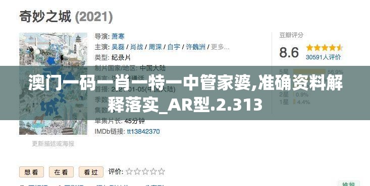 澳门一码一肖一特一中管家婆,准确资料解释落实_AR型.2.313