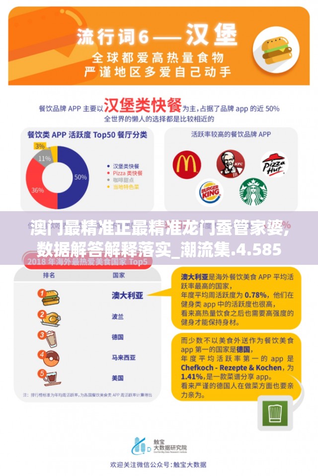 澳门最精准正最精准龙门蚕管家婆,数据解答解释落实_潮流集.4.585