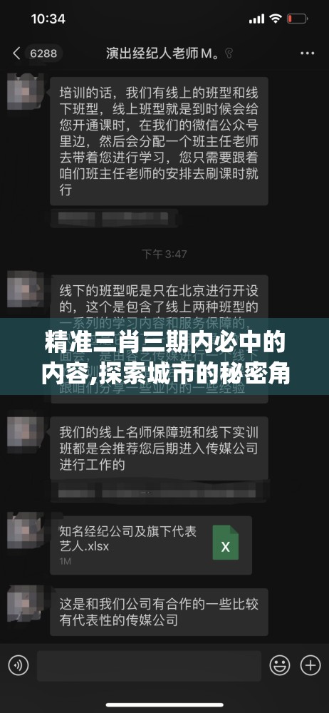 精准三肖三期内必中的内容,探索城市的秘密角落_蓝光版.5.397