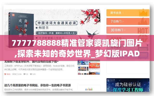 7777788888精准管家婆凯旋门图片,探索未知的奇妙世界_梦幻版IPAD.5.135