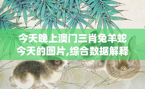 今天晚上澳门三肖兔羊蛇今天的图片,综合数据解释落实_探险版THE.4.297
