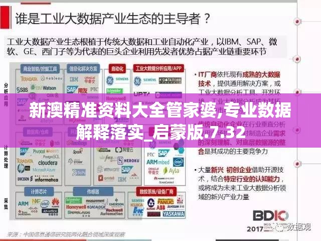 新澳精准资料大全管家婆,专业数据解释落实_启蒙版.7.32