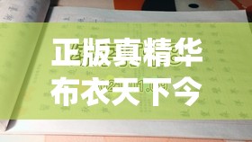 正版真精华布衣天下今天,专业解答解释落实_速配款.5.142