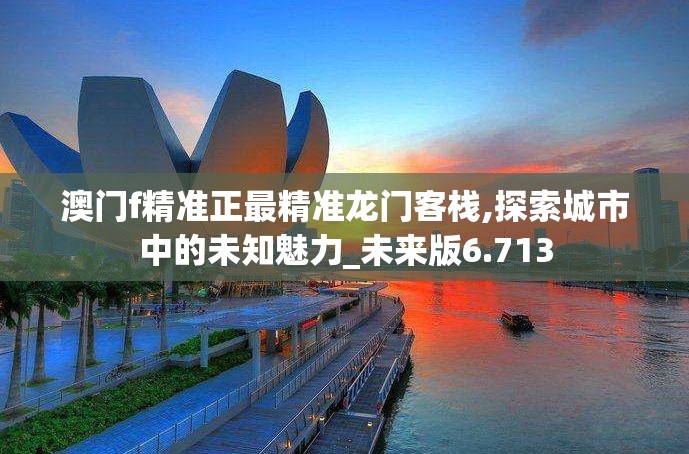 澳门f精准正最精准龙门客栈,探索城市中的未知魅力_未来版6.713