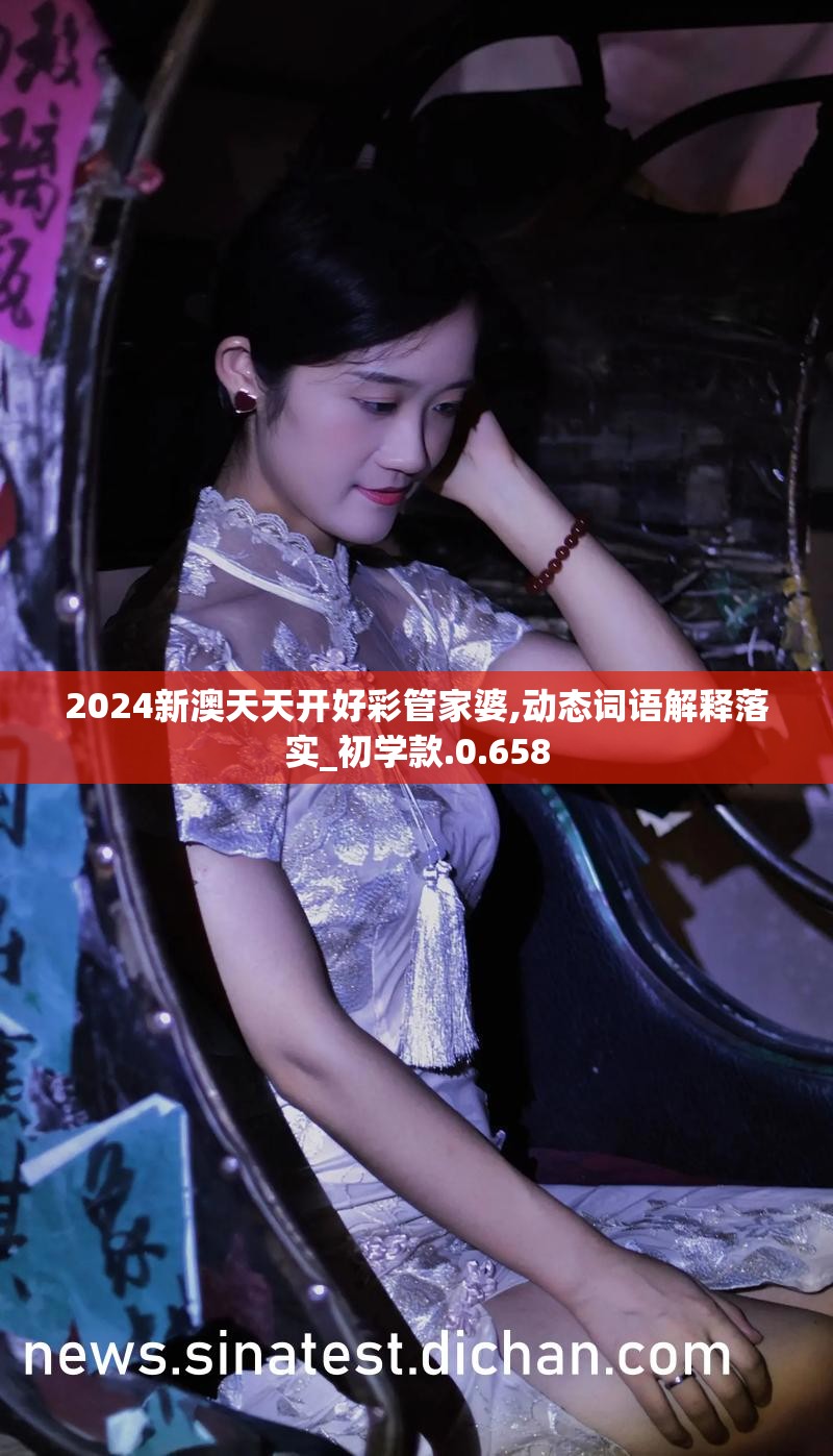 2024新澳天天开好彩管家婆,动态词语解释落实_初学款.0.658