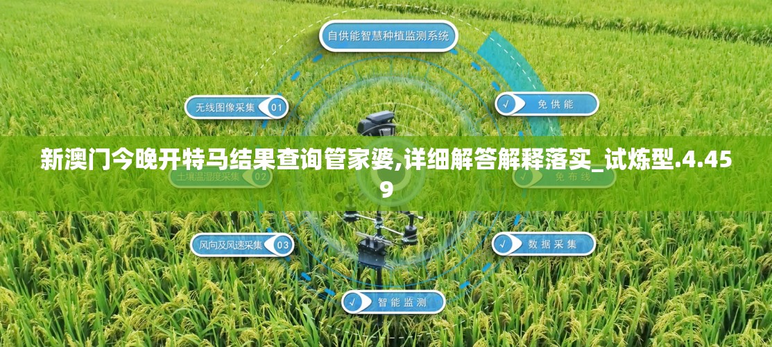 新澳门今晚开特马结果查询管家婆,详细解答解释落实_试炼型.4.459