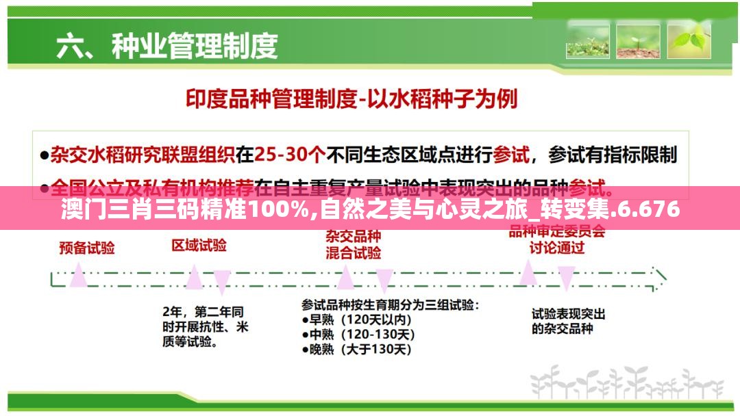 (领主开拓骑士的崛起免费阅读)领主开拓，骑士的崛起与荣耀