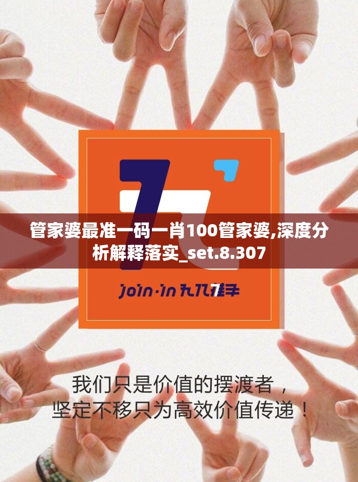 管家婆最准一码一肖100管家婆,深度分析解释落实_set.8.307
